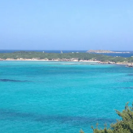 Grand Studio Route Des Sanguinaires Tres Belle Vue Mer