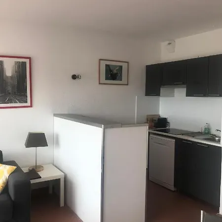 Grand Studio Route Des Sanguinaires Tres Belle Vue Mer Apartment